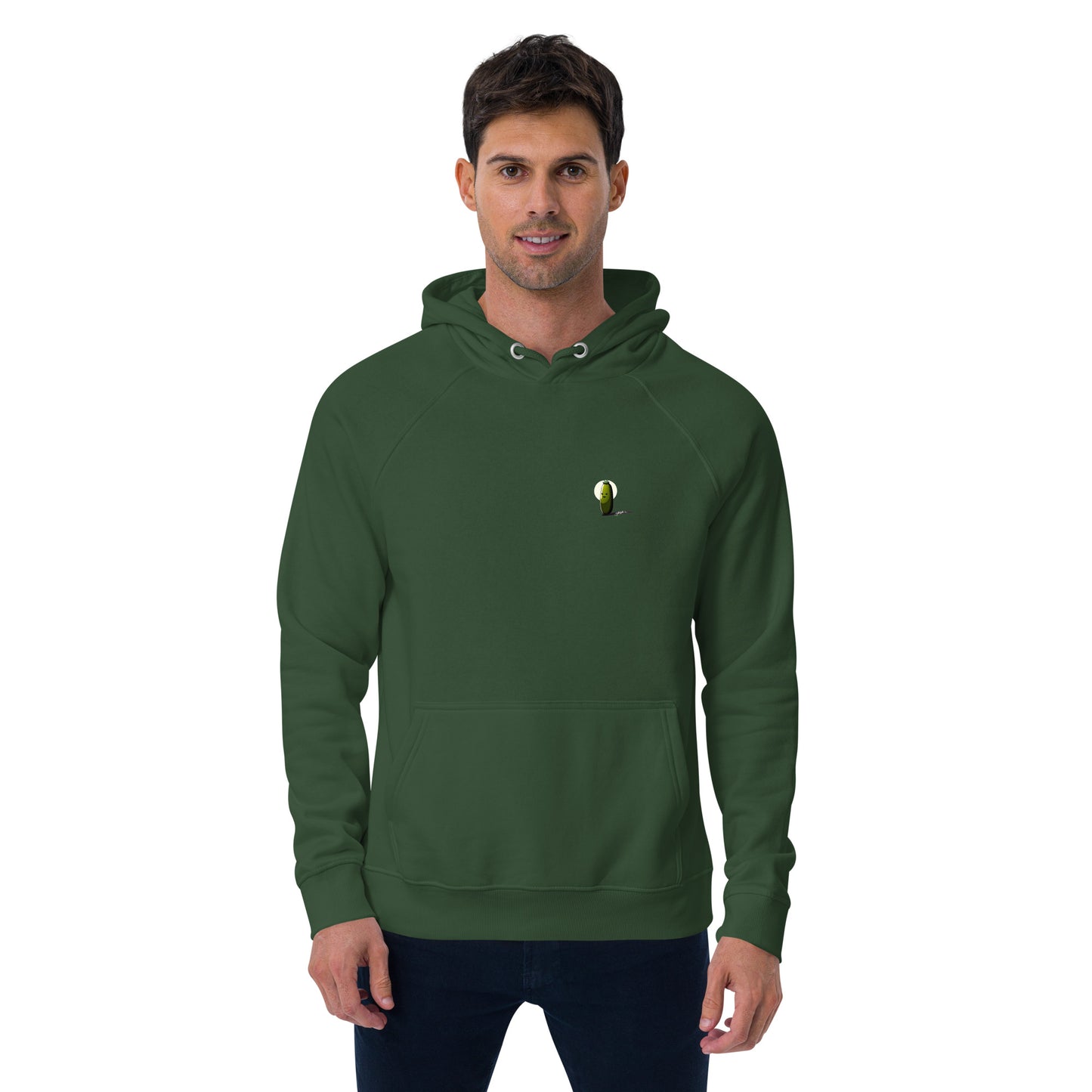 Unisex Pickle Eco Raglan Hoodie